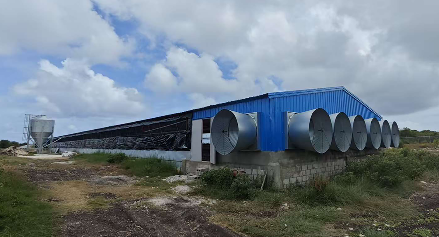broiler floor breeding chicken house