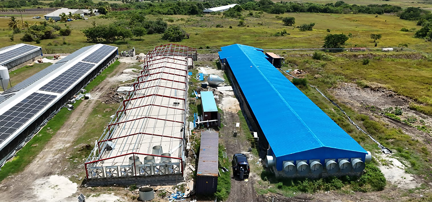 broiler poultry farm house