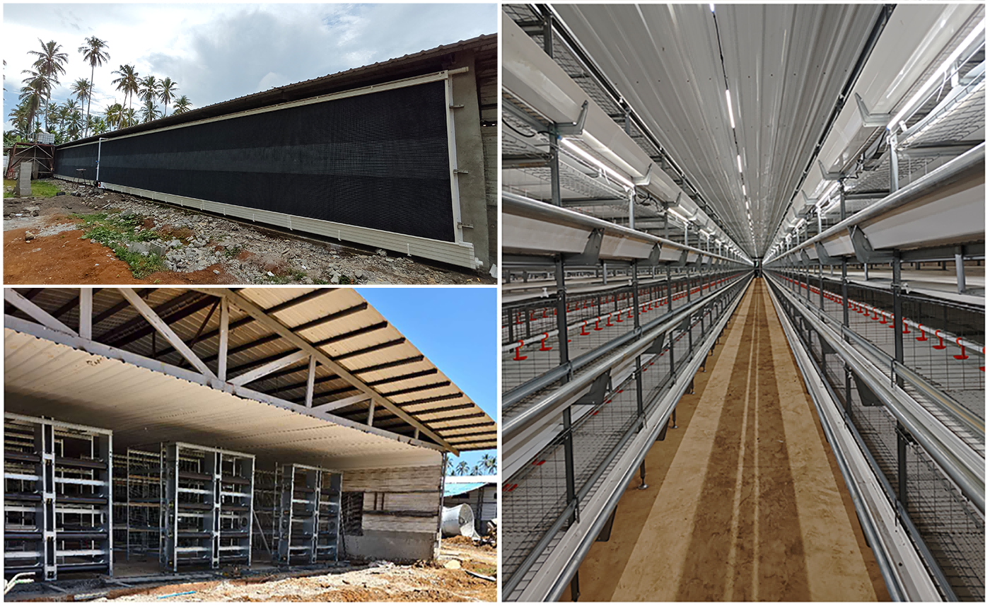 Philippines broiler chicken cage