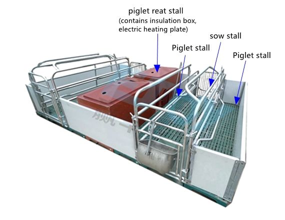 farrowing (2)_副本_副本