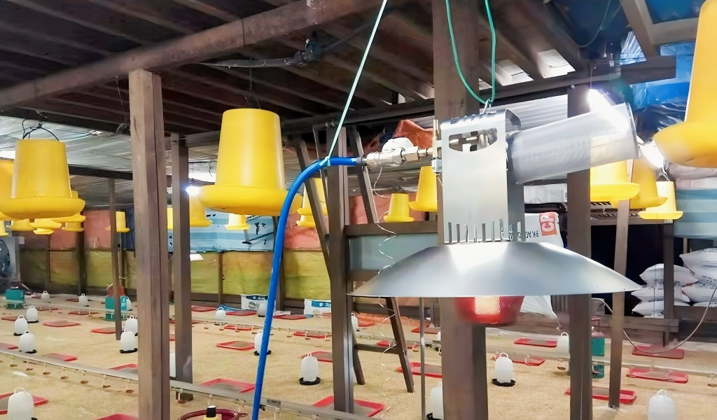 poultry gas heater for chicken house