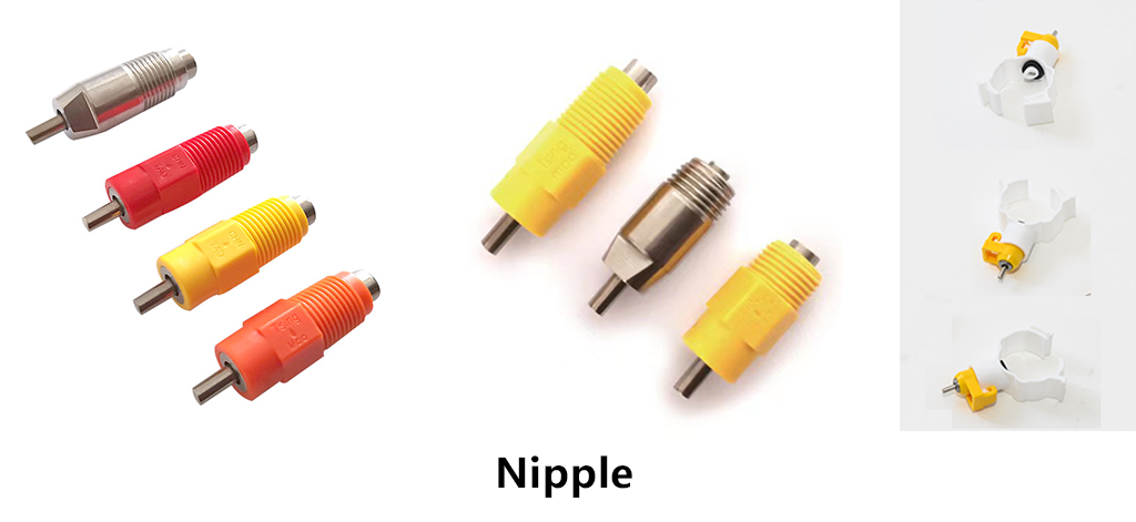 nipple nipple
