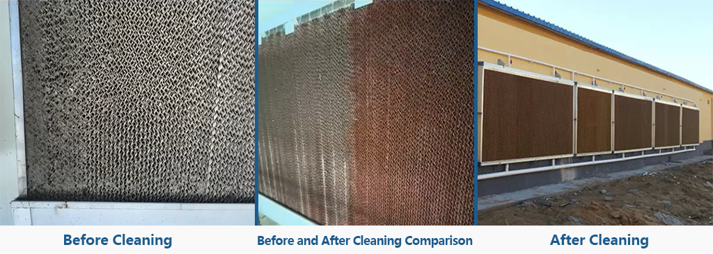 Before and After Cleaning Comparison of the Cooling Pad System