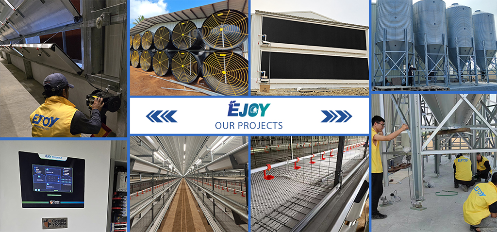 professional poultry farm design