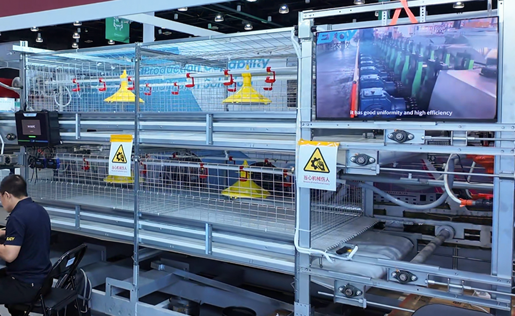 automatic broiler cage