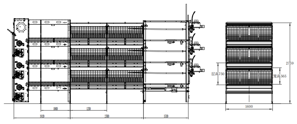Broiler Cage Chain Harvesting System