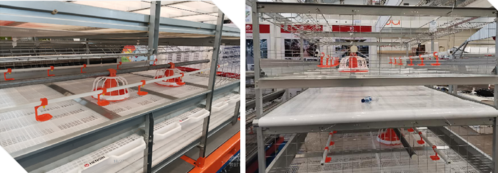 cage feeding line and water line cage feeding line and water line