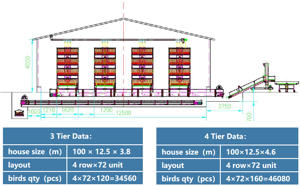 broiler chicken cage house data broiler chicken cage house data