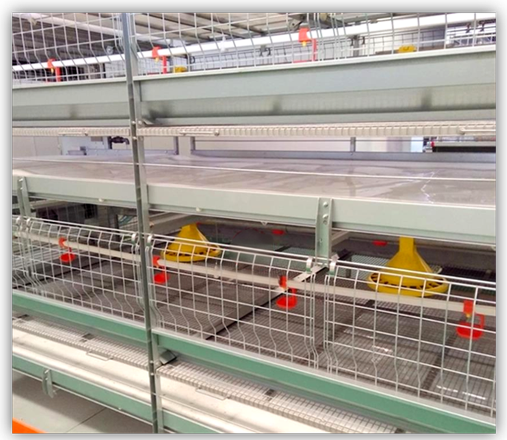 battery broiler cage battery broiler cage