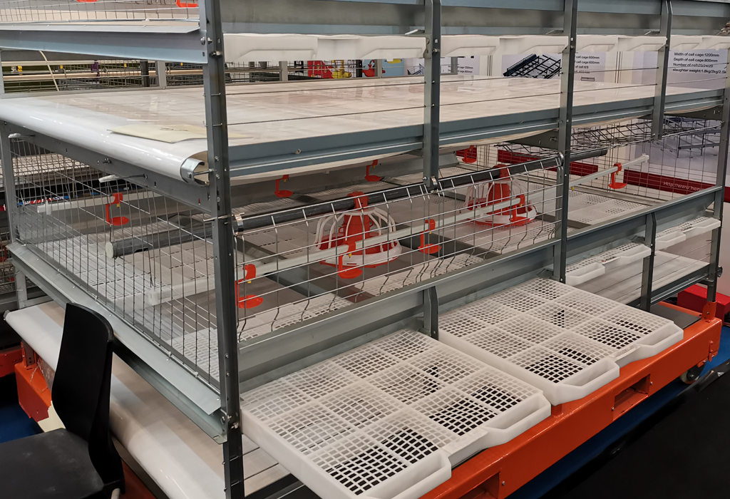 auto pan feeding system broiler cage auto pan feeding system broiler cage