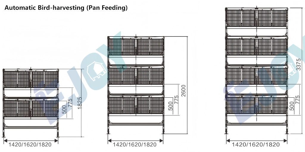 automatic pan feeding broiler cage