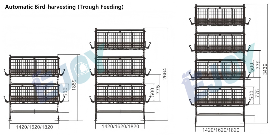 automatic trough feeding broiler cage