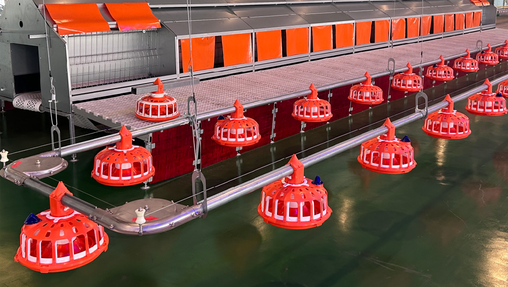 breeder chicken pan feeding system breeder chicken pan feeding system
