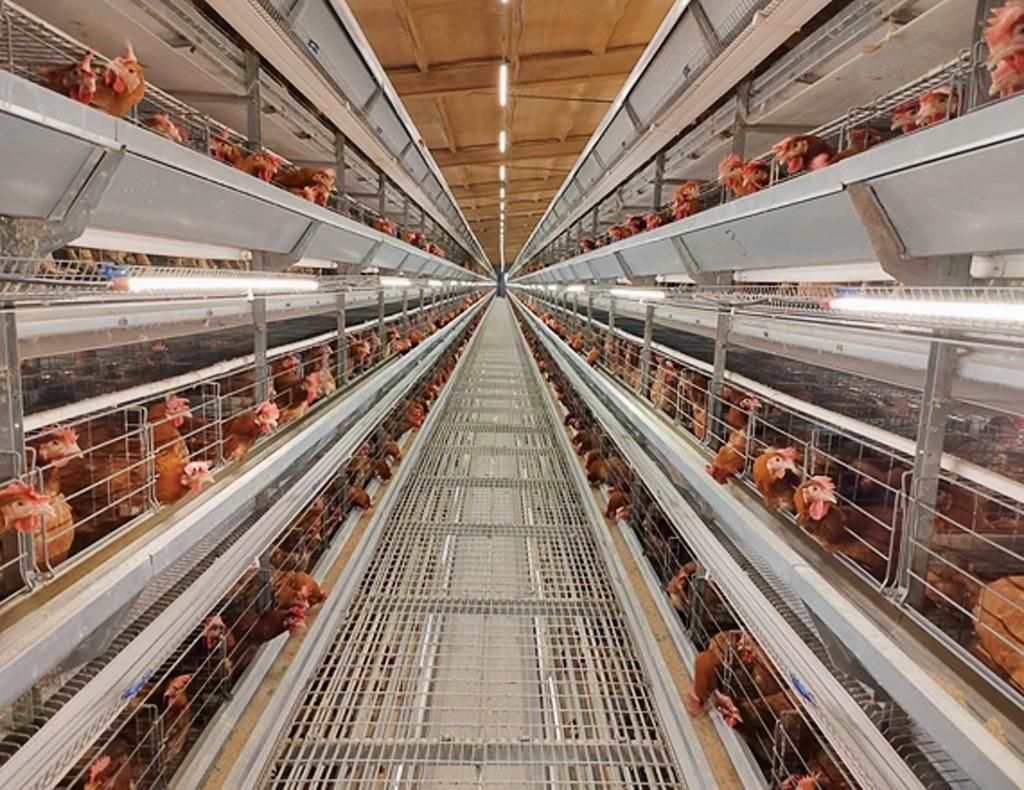 Light tube on layer cage