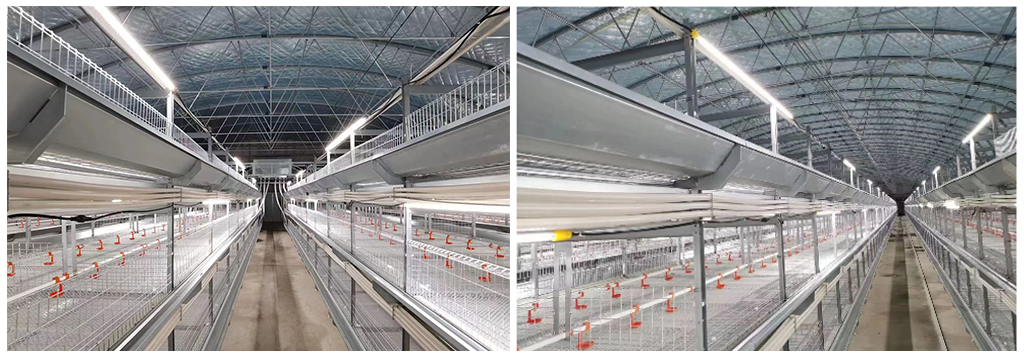 light tube on the cage