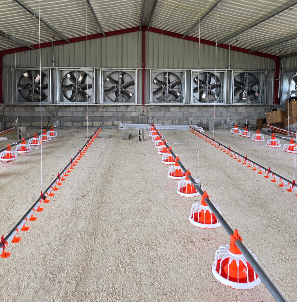 Broiler Floor-Rearing Project