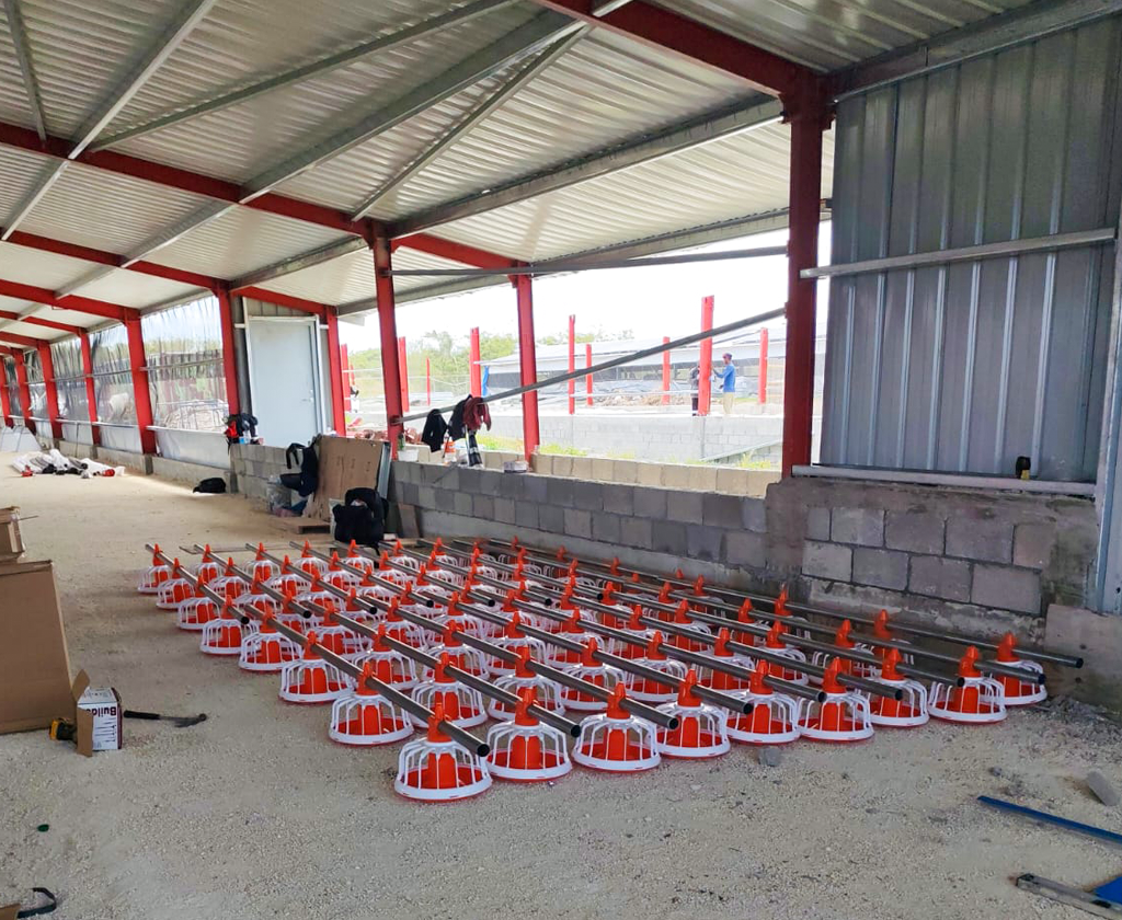 poultry farm construction