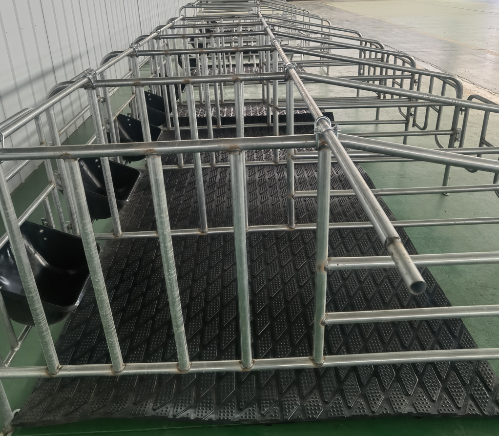 auto_2145 auto_2145