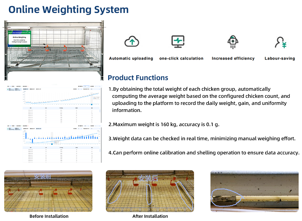 Chicken Farm Online Weighting System