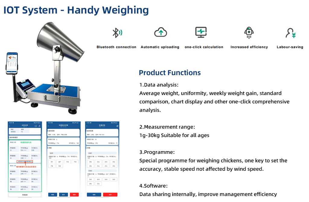 handy weighting for chicken scale