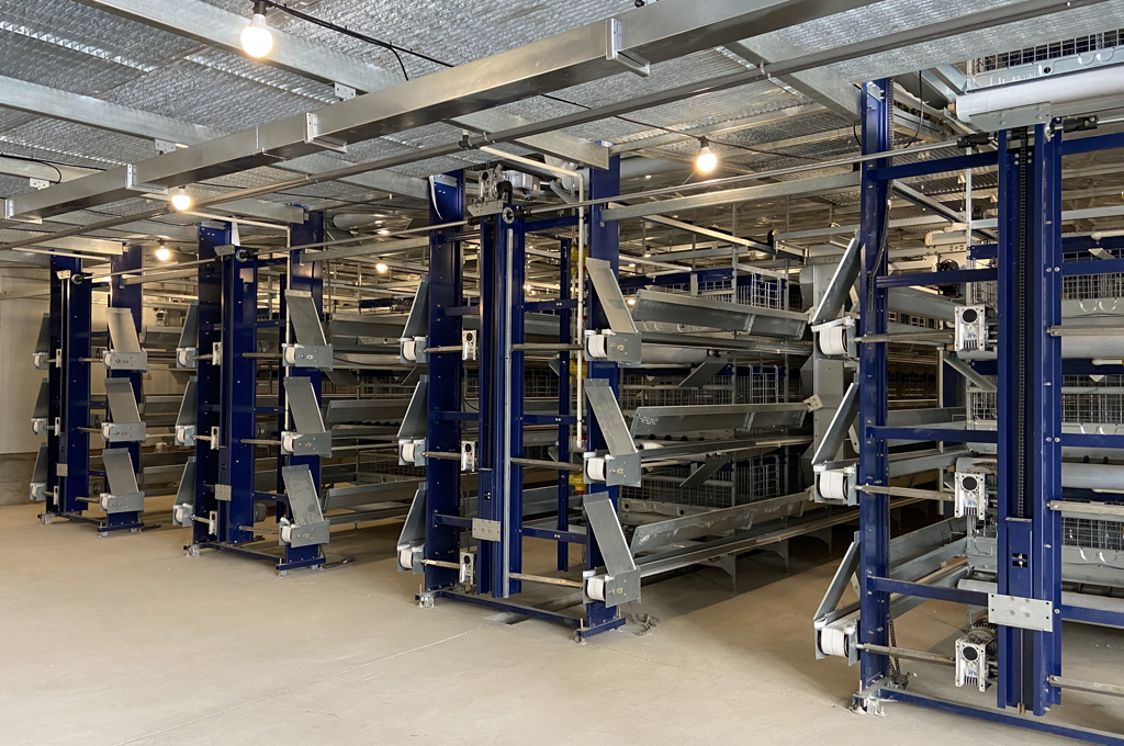H type layer cage