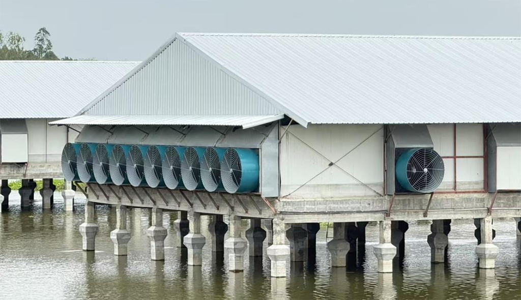 livestock farm house livestock farm house