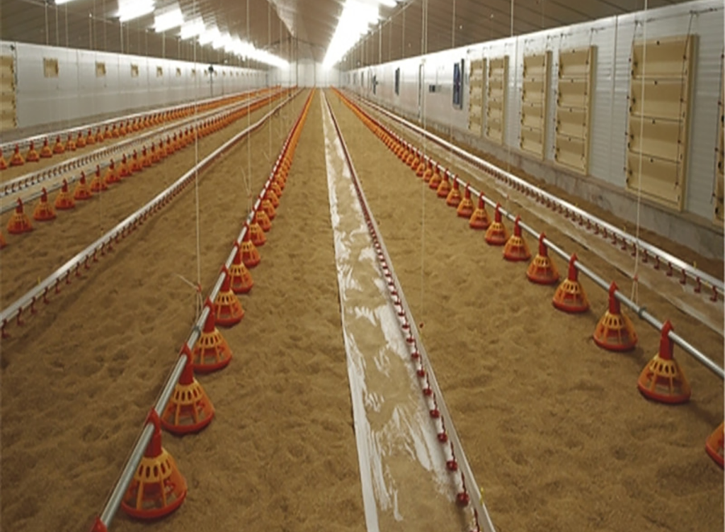 broiler floor breeding house broiler floor breeding house