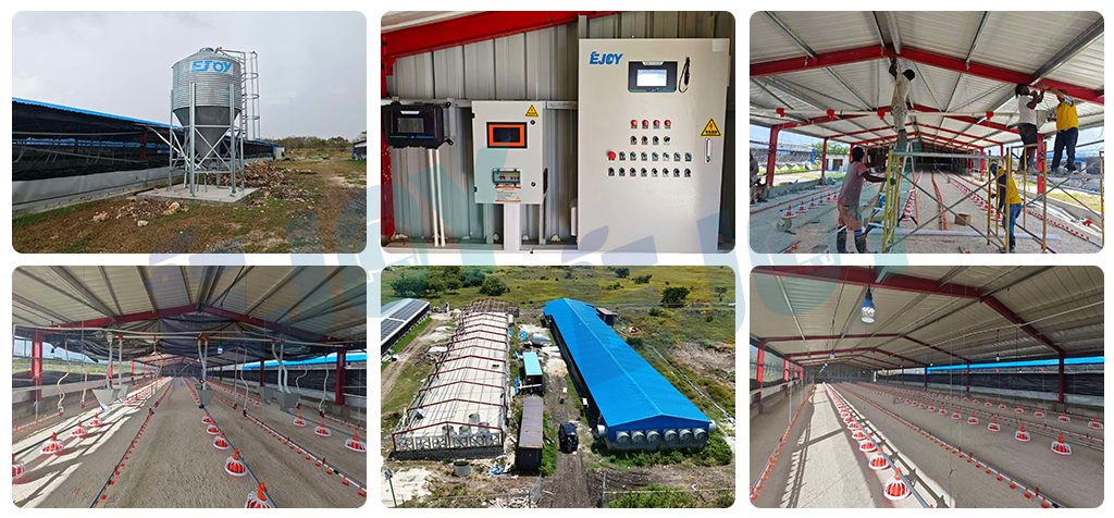 poultry floor breeding equipment