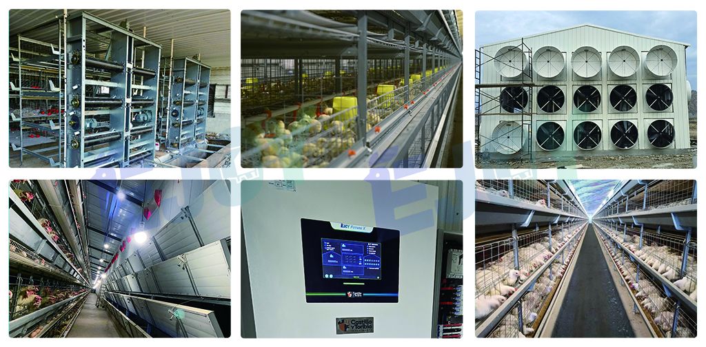 poultry cage system
