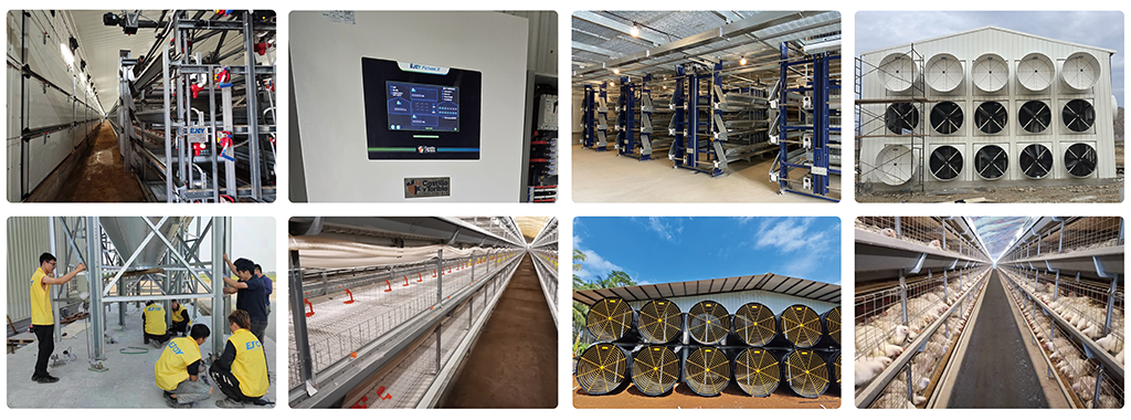 chicken cage poultry farm chicken cage poultry farm