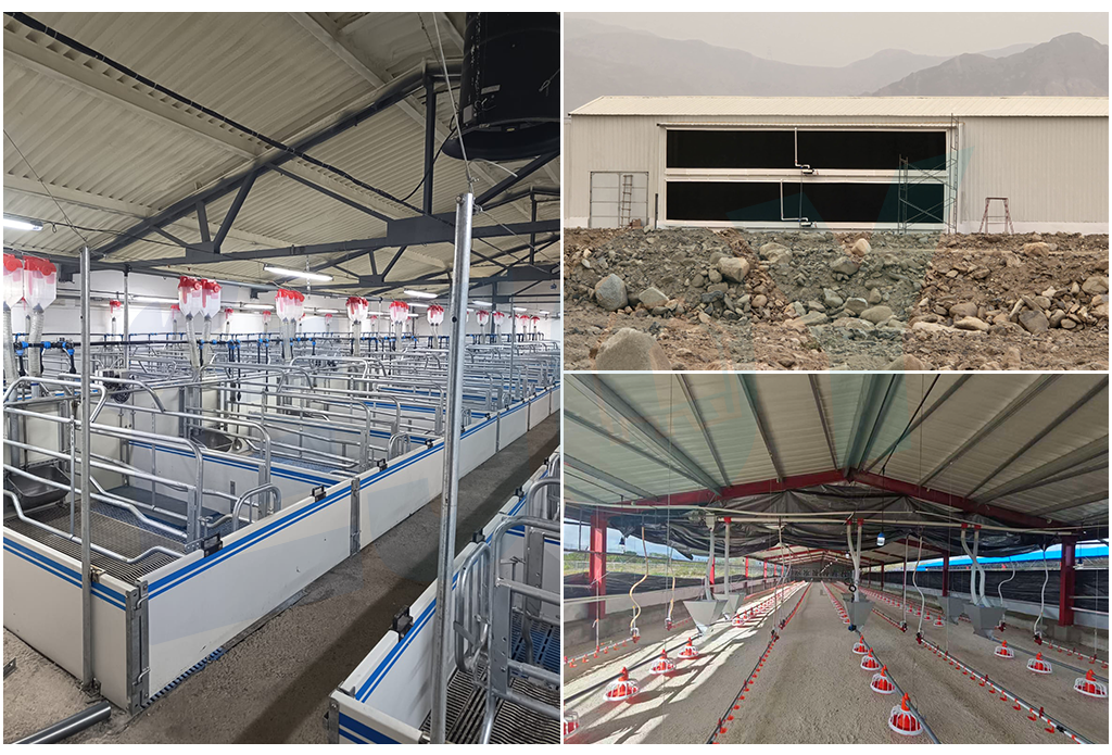 South America pig and poultry farm equipment South America pig and poultry farm equipment