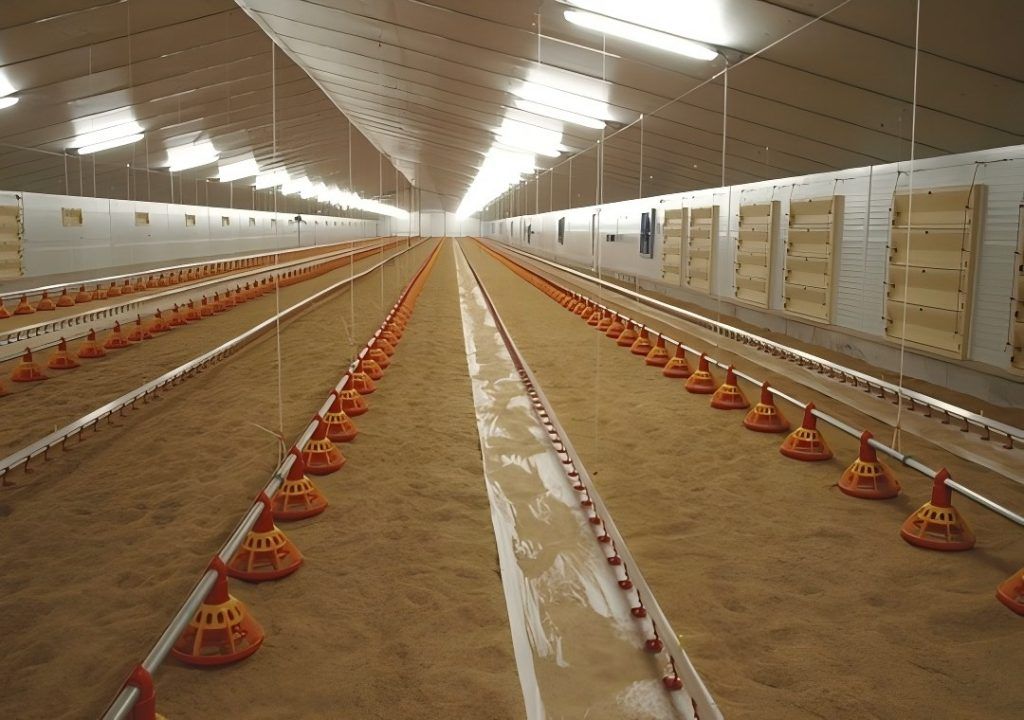 broiler drinking line broiler drinking line