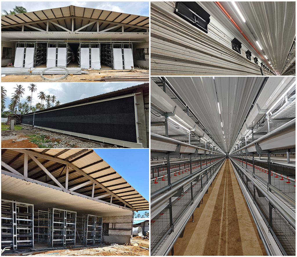 Philippines broiler cage