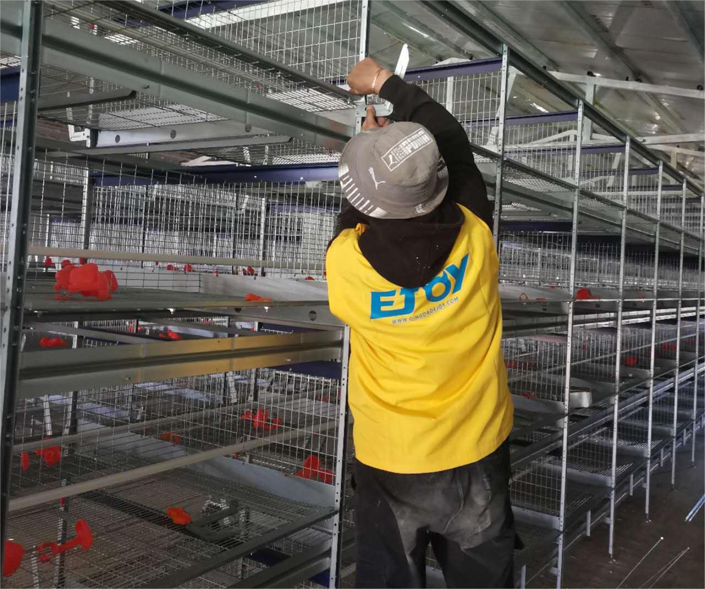 Mogolian egg layer cage