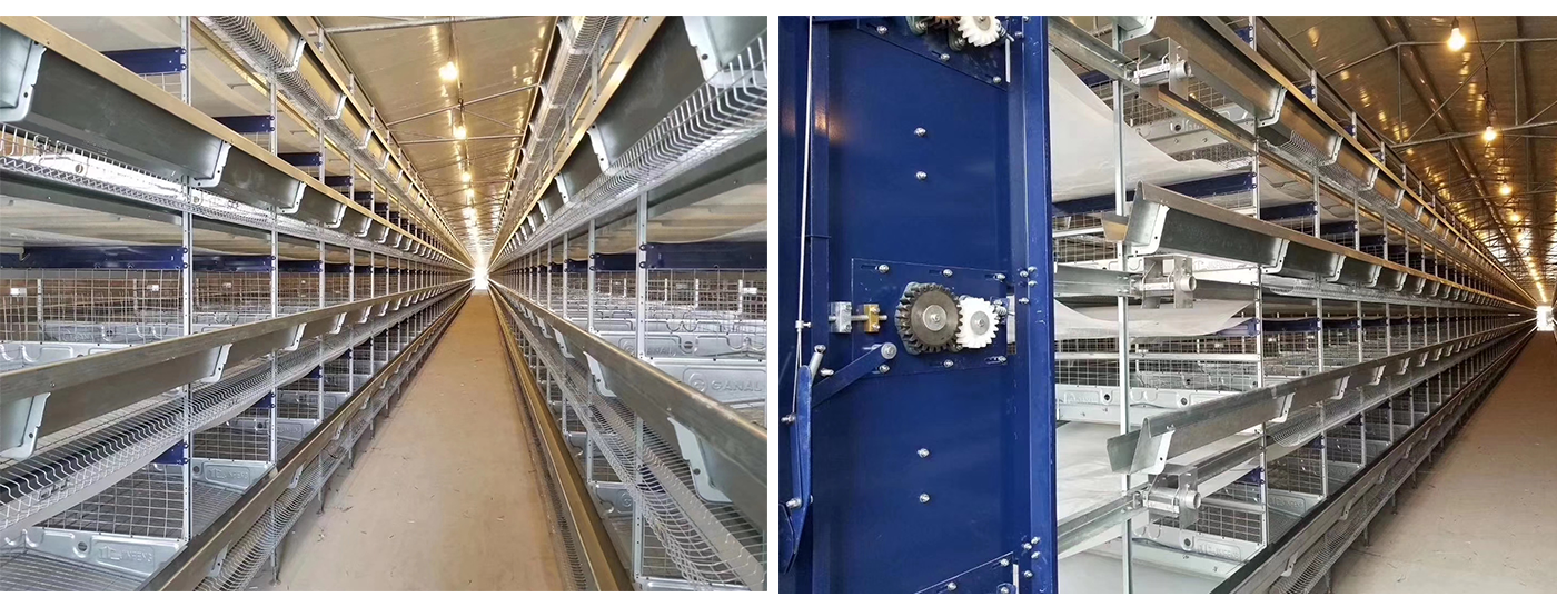 professional layer poultry cage