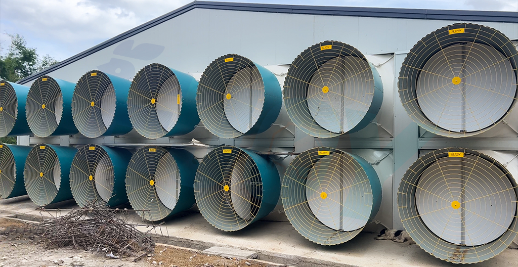 poultry farm ventilation fan